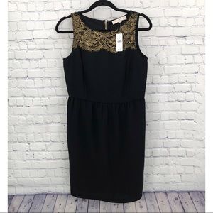 Loft gold lace midi dress NWT $79 black size 6